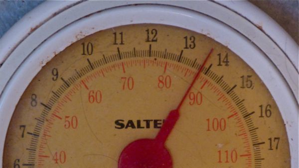 scale 13 stone 11 pounds