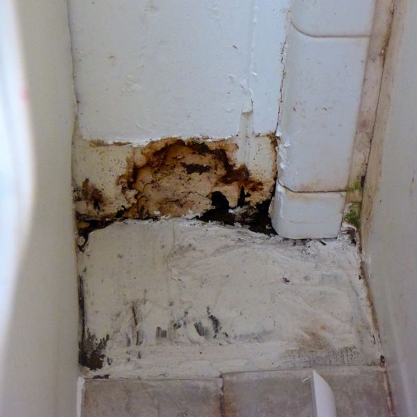 bathroom wall moisture damage