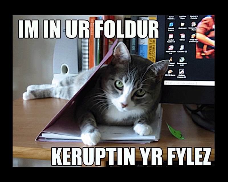 No Face trying to hack into other HQs secret files thread. Lolcat9